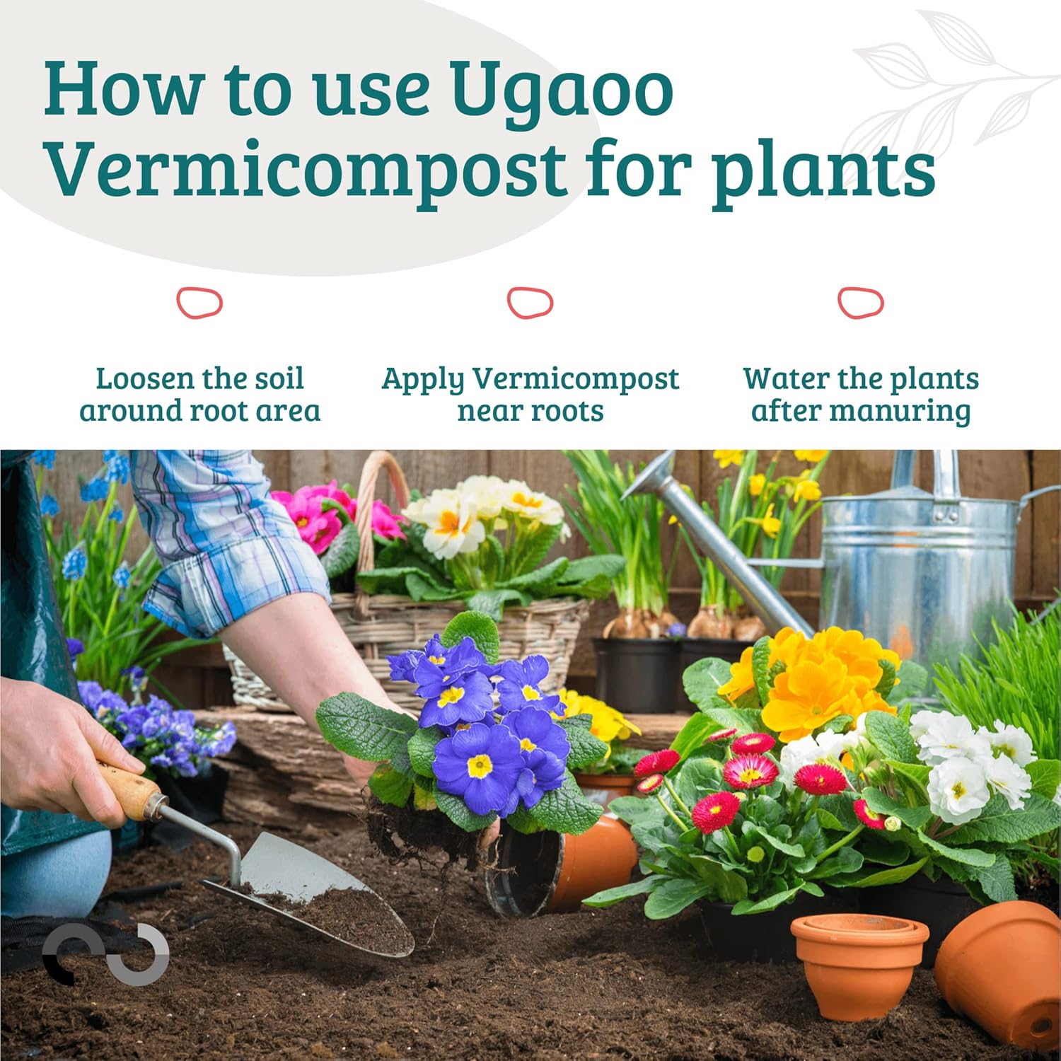 ugaoo organic vermicompost fertilizer manure for plants ugaoo organic vermicompost fertilizer manure for plants